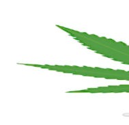 Lass den Joint lieber zuhause